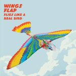 Schylling Tim Bird Flying Toy - Rubberband-Powered Mechanical Bird that Really Flies - Wings Flap and Flies 50 Feet - Ages 7 and Up